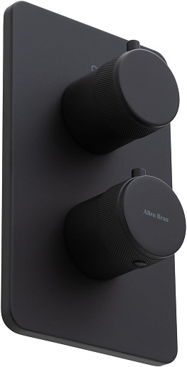 Allen Brau Смеситель для душа Priority 5.31113-31 (с внутренней частью, 1 выход) черный матовый – фотография-2